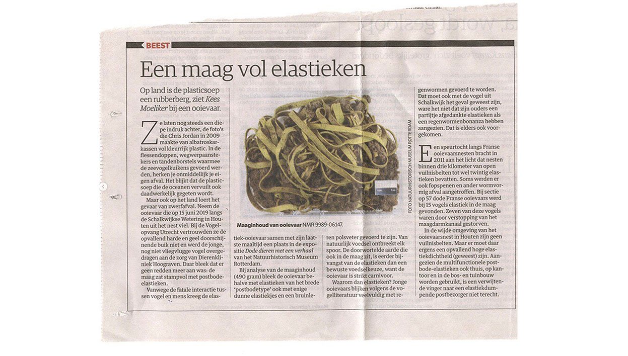 ooievaar nrc