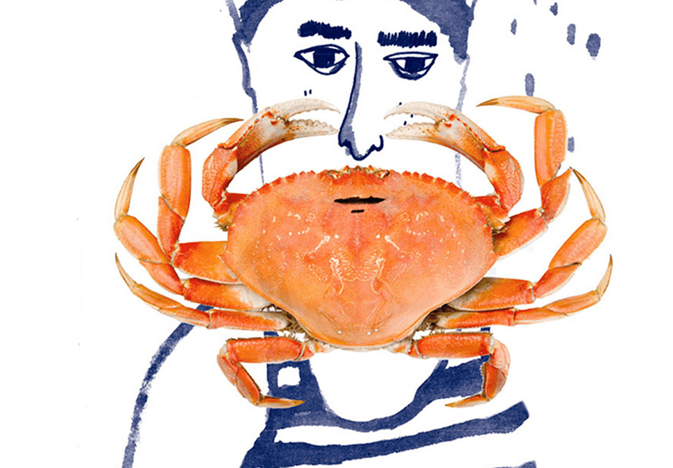 Morley for Kids • Zomer