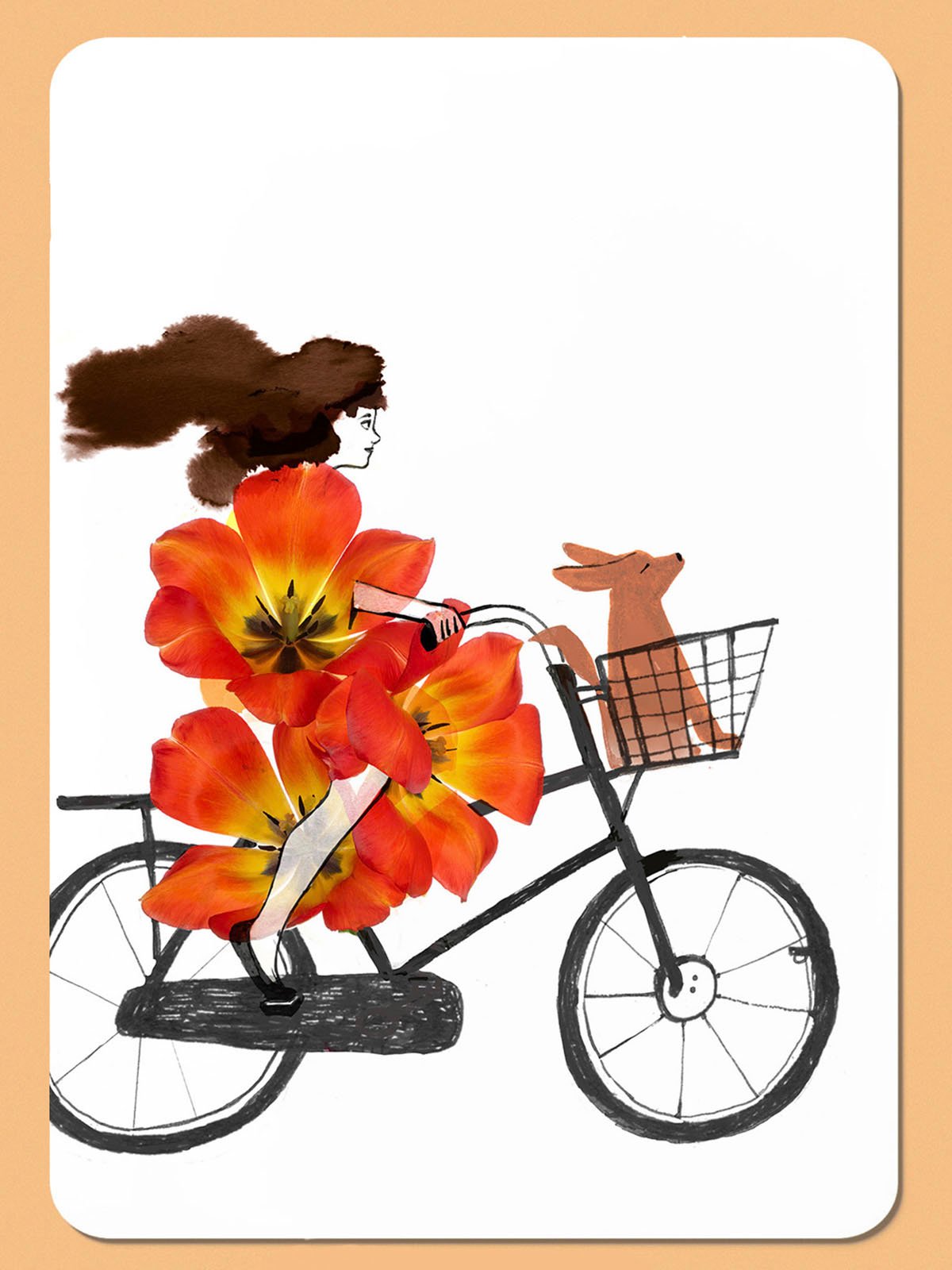 tulp fiets•tulip cycle