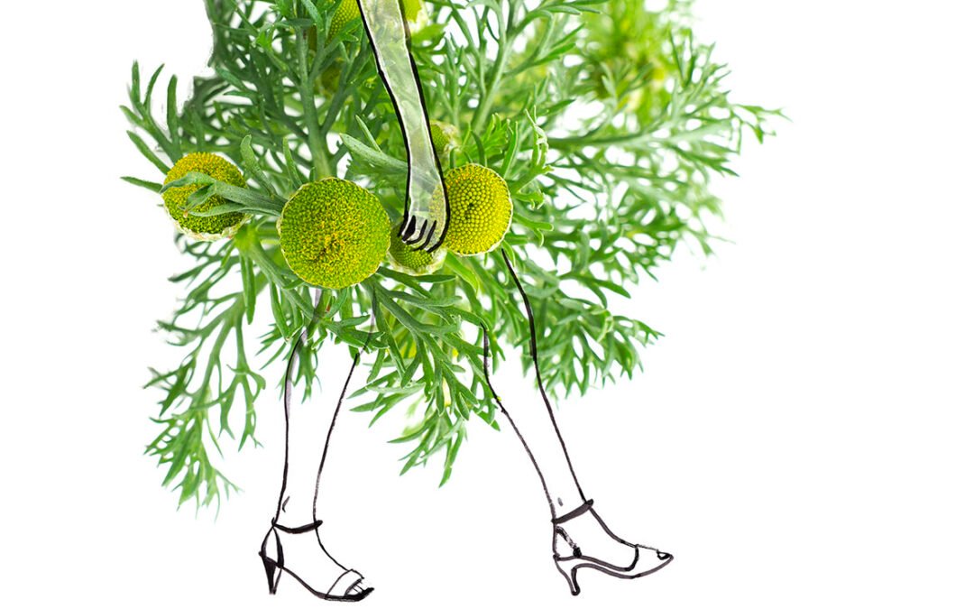 pinapple weed