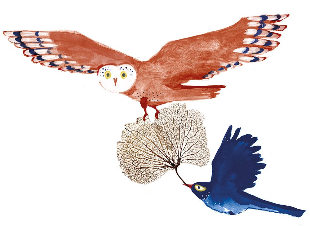 two birds carrying the load together