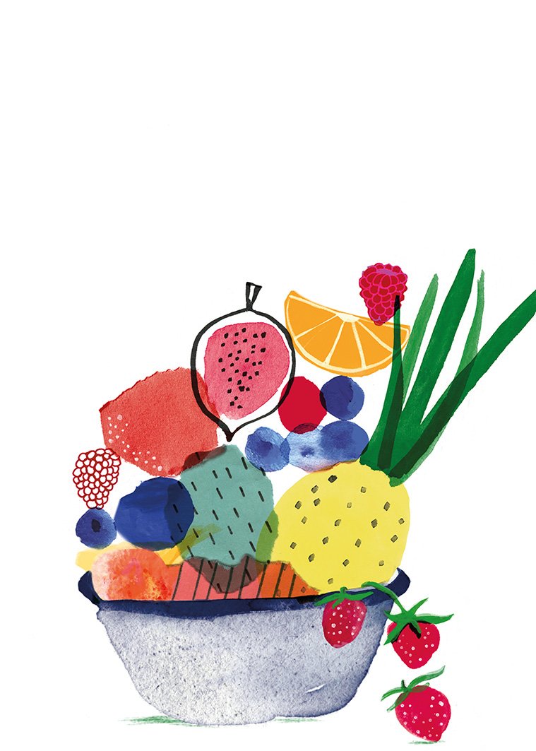 tulp fiets•tulip cycle