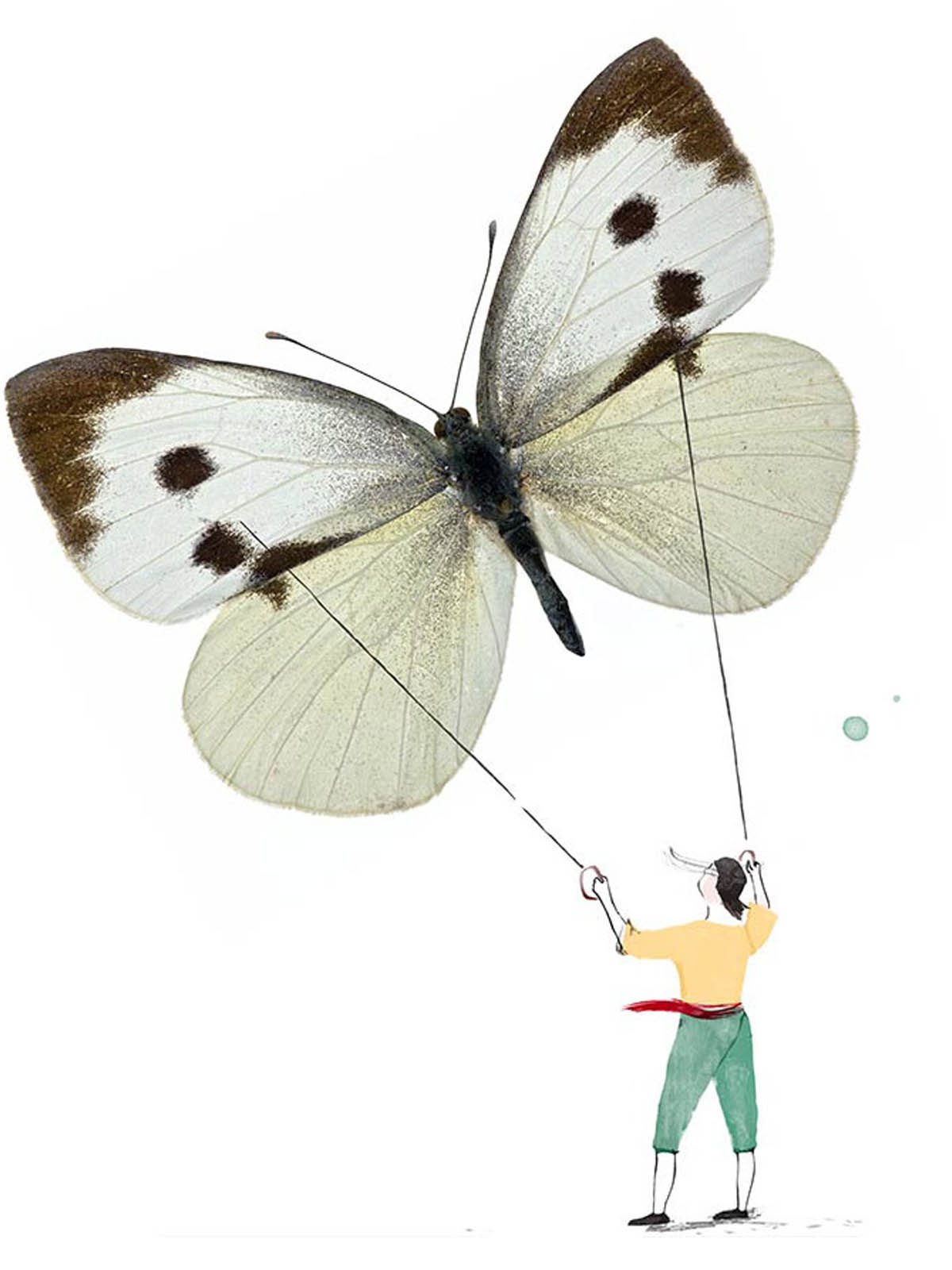 person flying a large butterfly like a kite