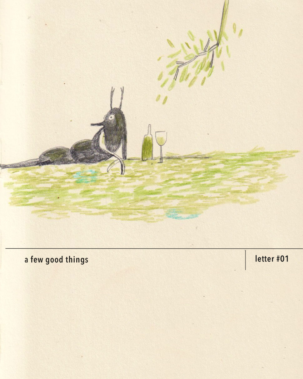drawing of a relaxing bug on a paper