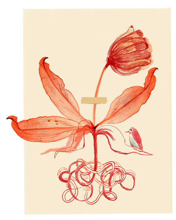 flower with clustered roots and little bird